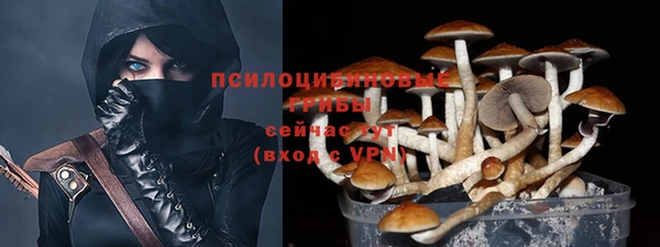 соль ск Инсар