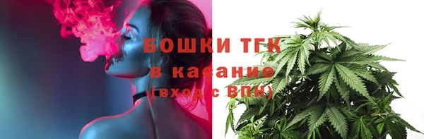 соль ск Инсар