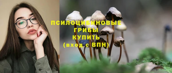 МДПВ Инта