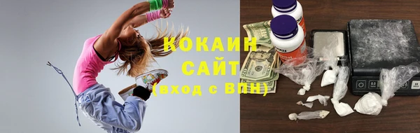 МДПВ Инта