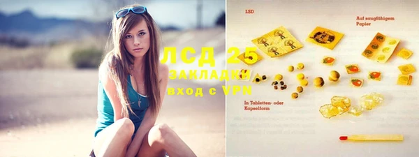 соль ск Инсар