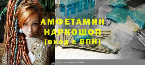 соль ск Инсар