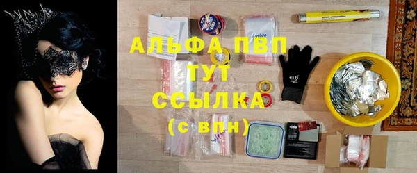 соль ск Инсар