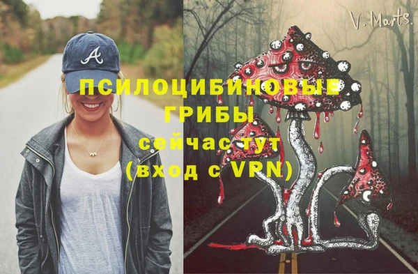 МДПВ Инта