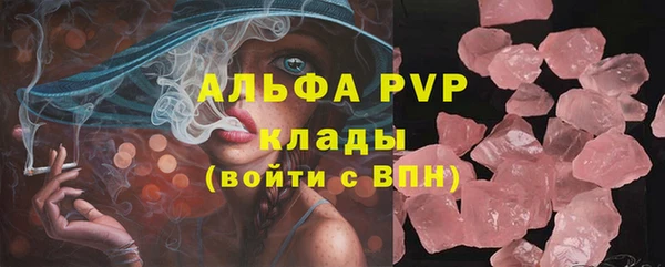 соль ск Инсар