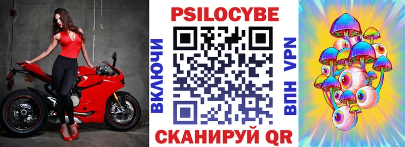 Псилоцибиновые грибы мухоморы  купить наркоту  hydra зеркало  Курчатов 