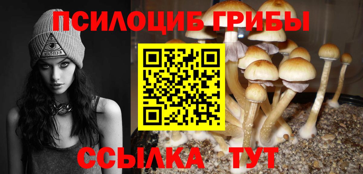 Галлюциногенные грибы Magic Shrooms Курчатов