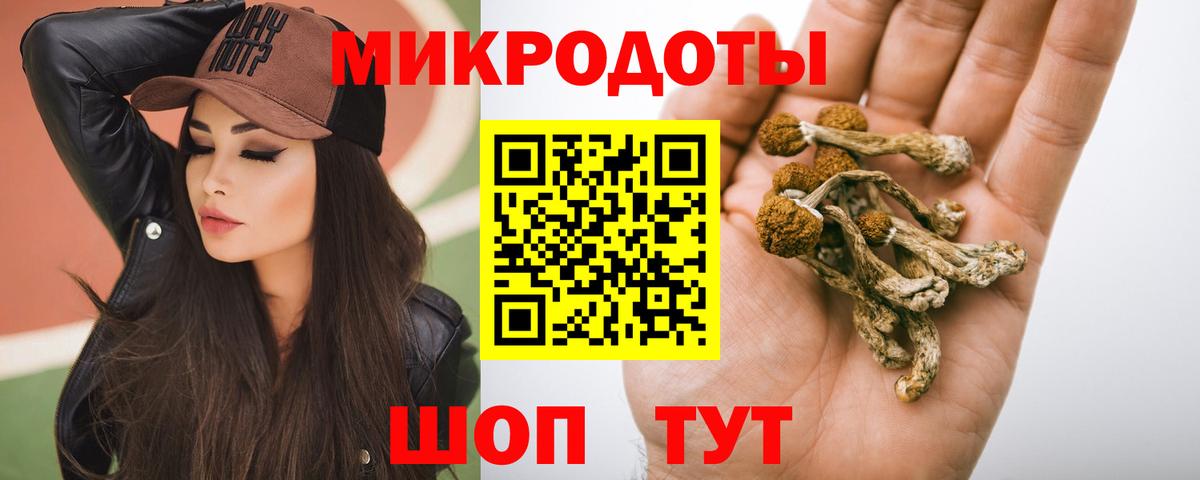 Псилоцибиновые грибы Magic Shrooms Курчатов